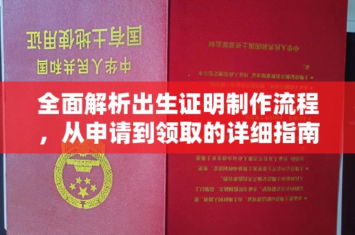 海原全面解析出生证明制作流程，从申请到领取的详细指南