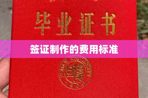 龙湖签证制作的费用标准