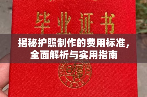 开福揭秘护照制作的费用标准，全面解析与实用指南